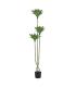 PLANTA DESIERTO VERDE PVC JARDÍN 150 CM