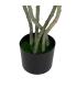 PLANTA DESIERTO VERDE PVC JARDÍN 170 CM
