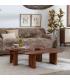 S/2 MESA CENTRO MADERA DE MANGO SALÓN 110 X 60 X 40 CM