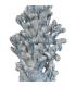 FIGURA CORAL AZUL CERÁMICA DECORACIÓN 16,50 X 16,50 X 32 CM